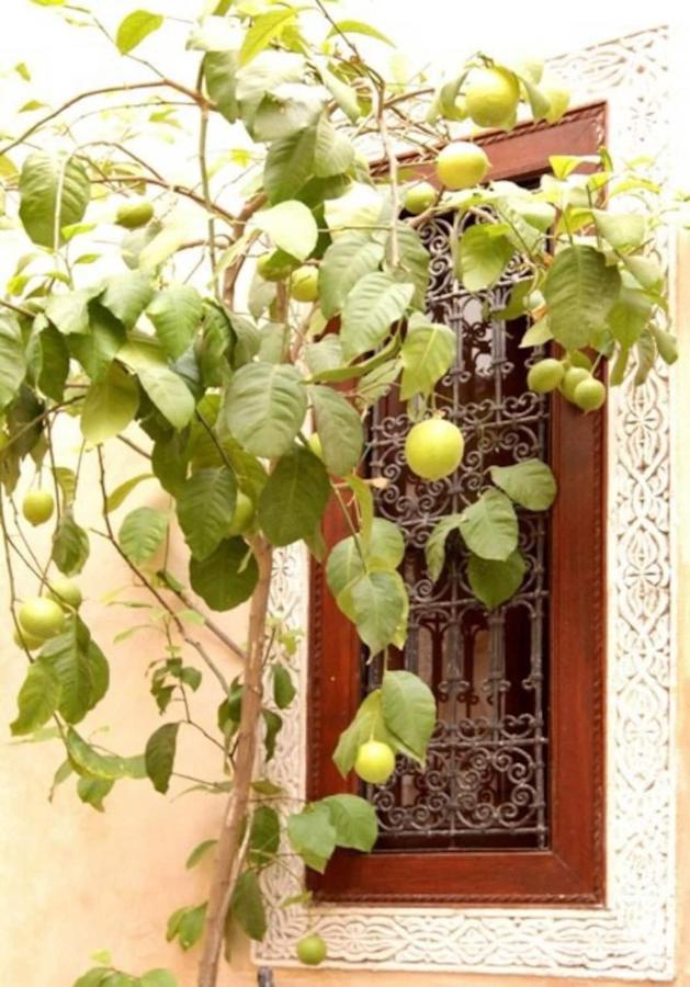 Riad Dar Rania Marrakech Medina Jemaa El Fna Marrakesh Eksteriør bilde